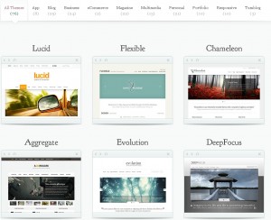 Best Wordpress Premium Theme Part 3 Elegant Themes Review