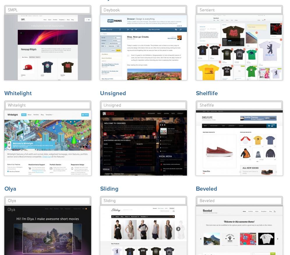 woothemes ecommerce themes