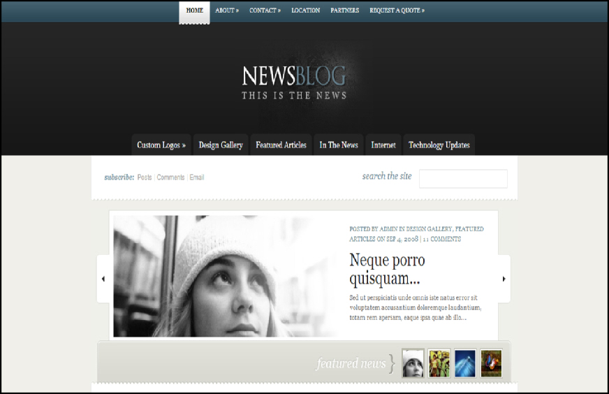 news blog theme