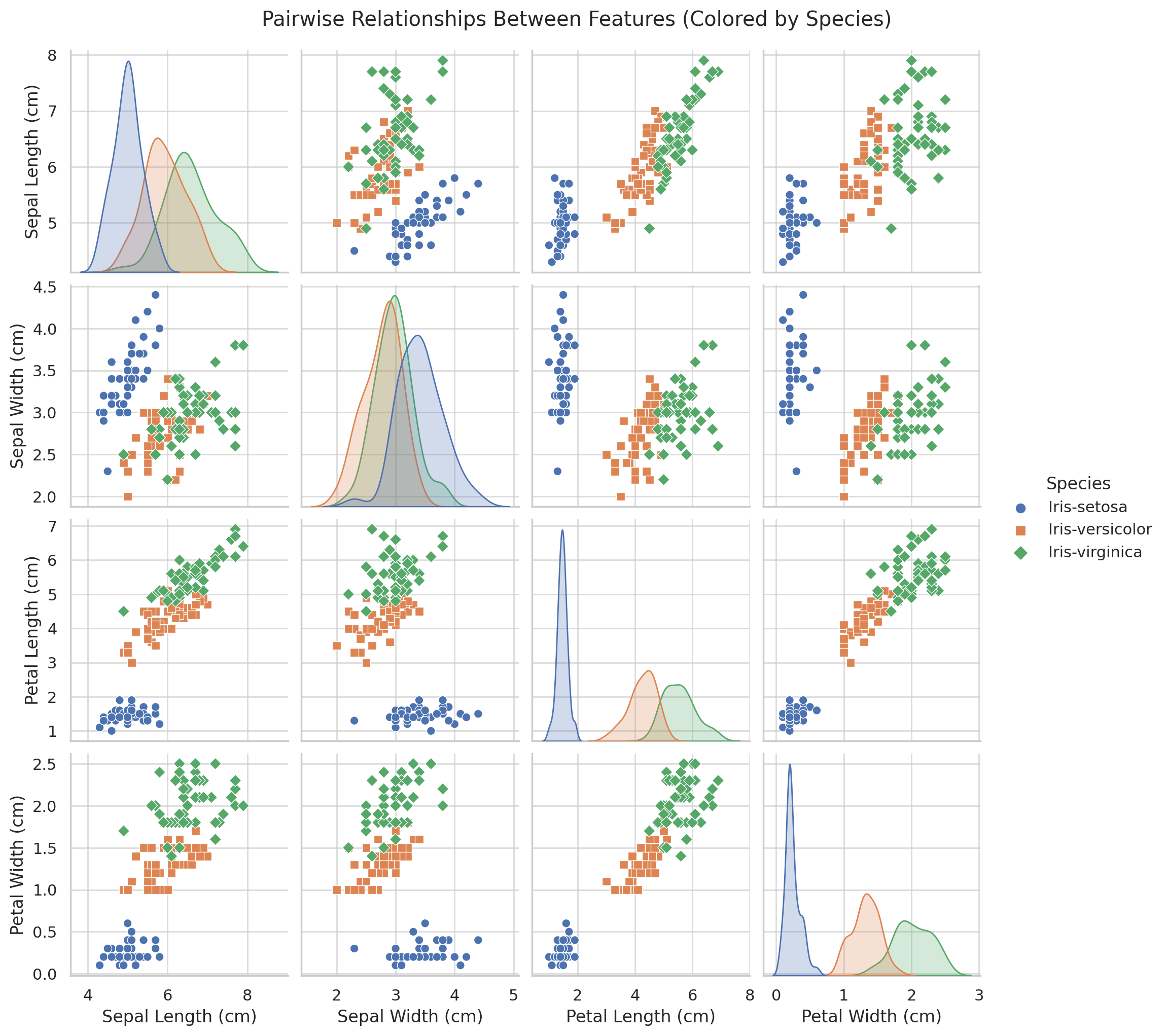 iris analysis visualization charts